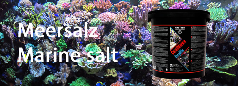 Grotech｜LSS Laboratory