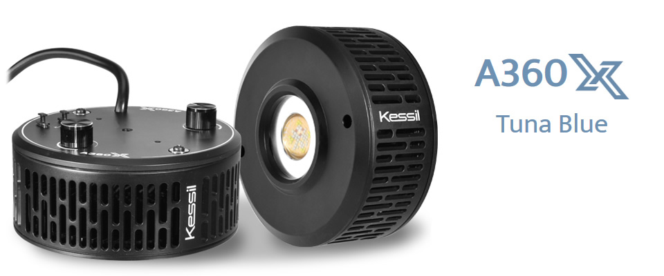 LSS Laboratory ｜ Kessil