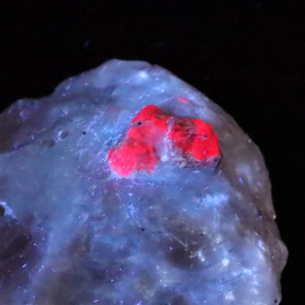 81211a_grande.jpg?v=1730990959