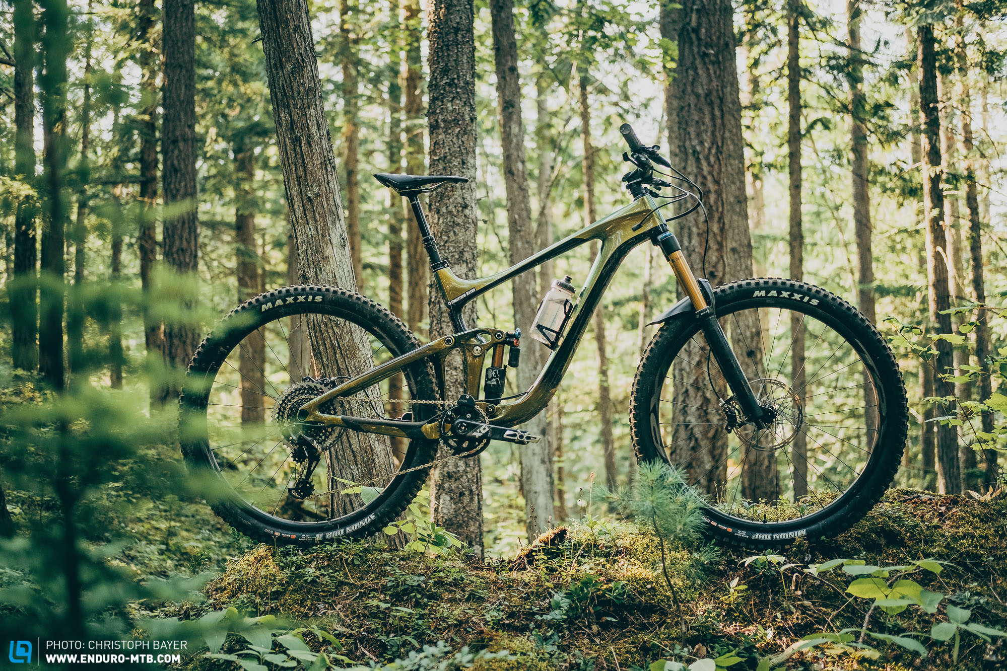 2020 Giant Reign 29ER (Mサイズ)セット