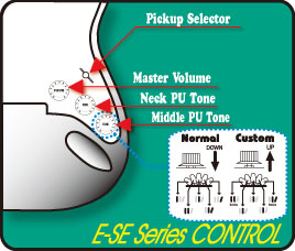 ESP | EDWARDS | E-SE-100M/LT