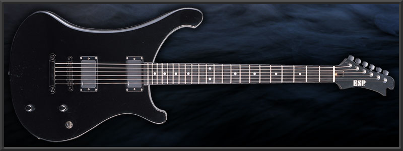 ESP | ARTIST CUSTOM GUITARS | SUZUKI