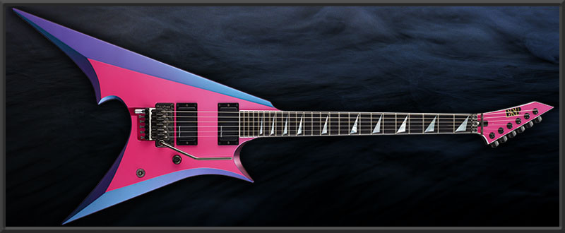 ESP | ARTIST CUSTOM GUITARS | トキ