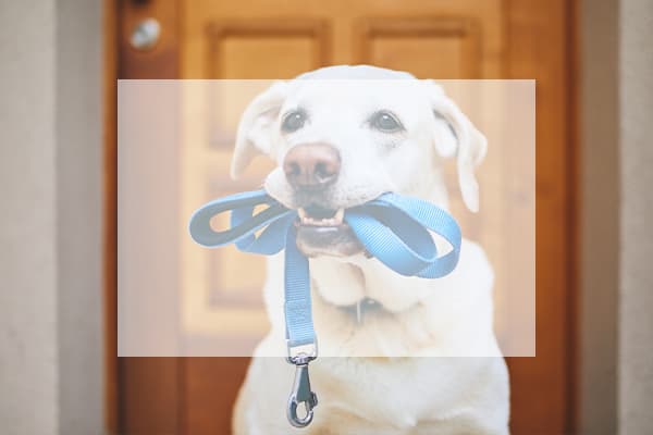 公式】歩けるくん|EQT|STEP EQT