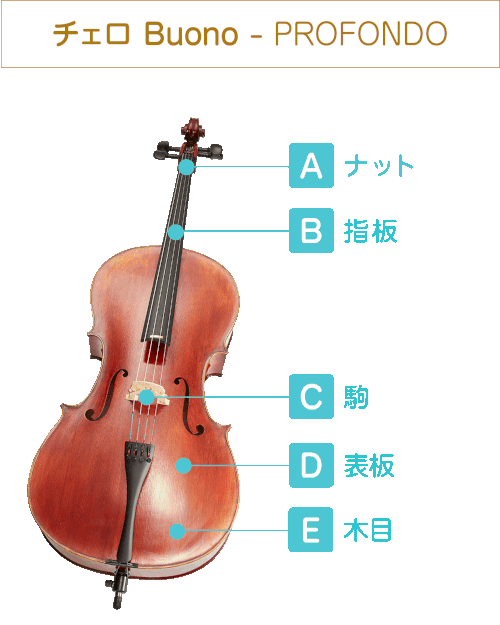チェロ Buono - PROFONDO |【EYS-Kids】子供向け音楽教室で1人1人に