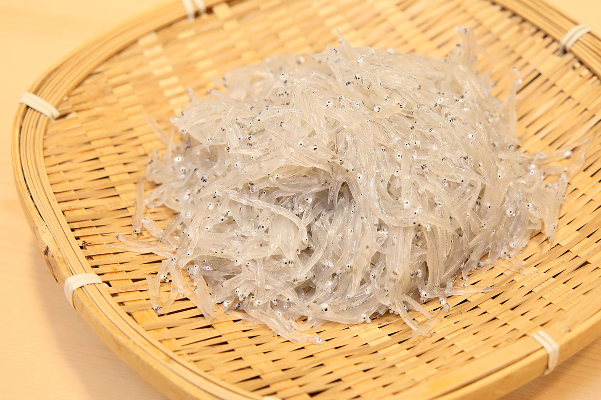 用宗のしらす | エキサイト用宗