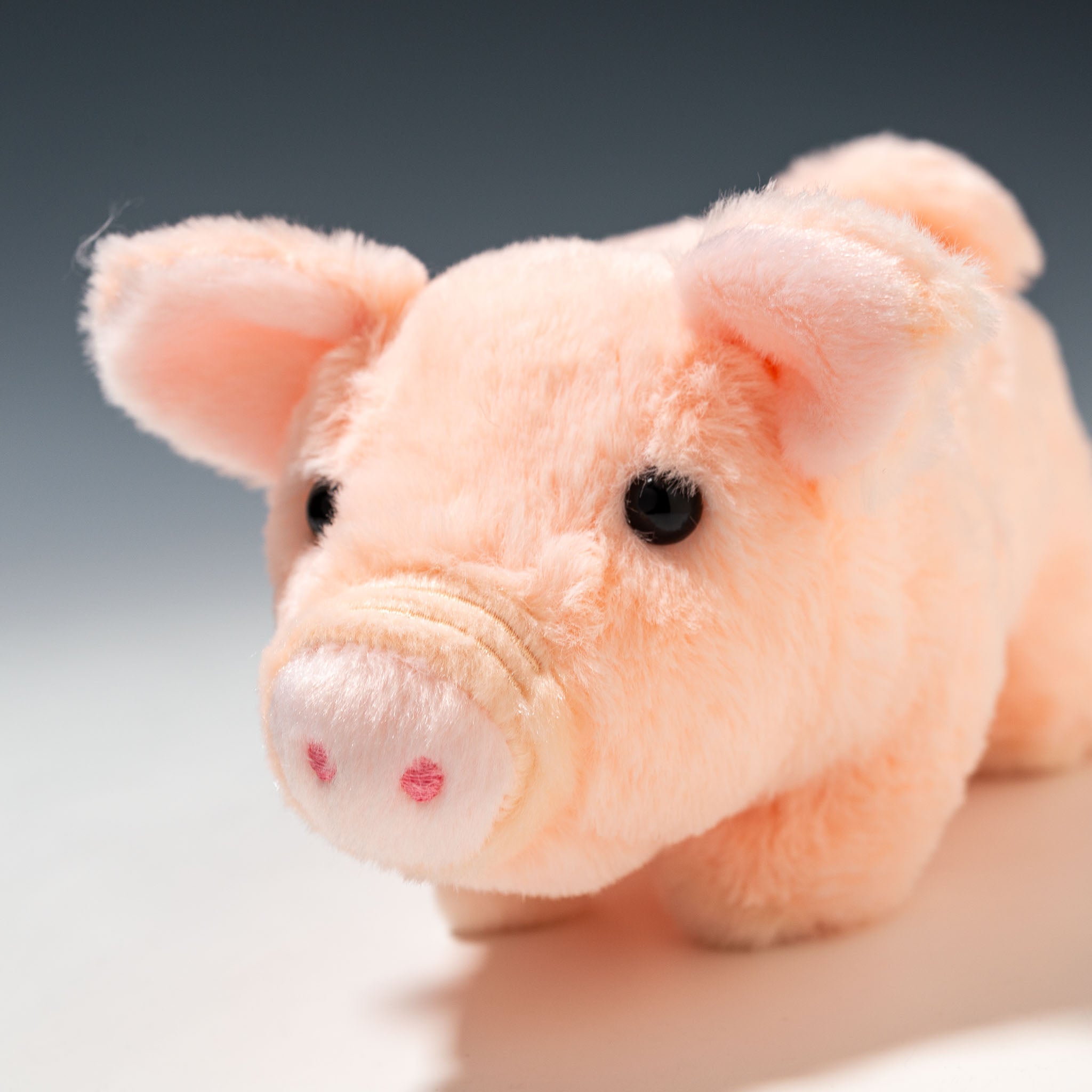 CUTE キュート販売 ぬいぐるみ ファームコレクション ブタ ブーブー