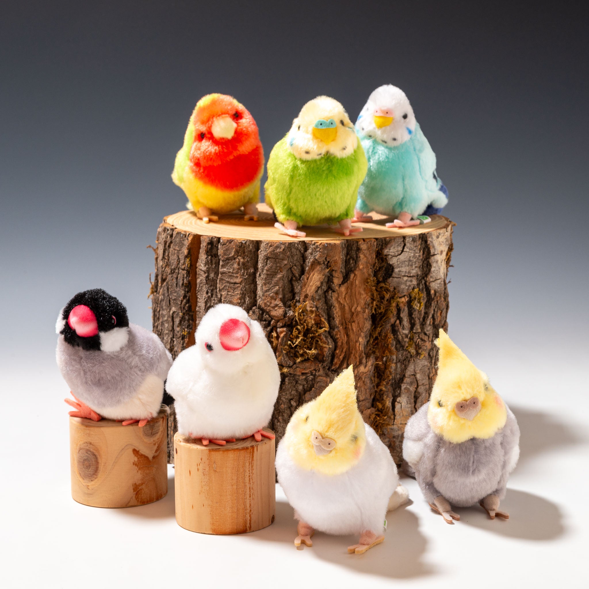 シーグラスアート 3羽の仲良しインコ 小鳥 うちの子グッズ シーグラス