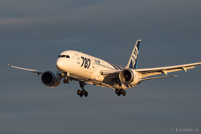 ANA 全日空商事｜Boeing787-8 JA802A NH20051｜鯖次郎 ANA 全日空商事