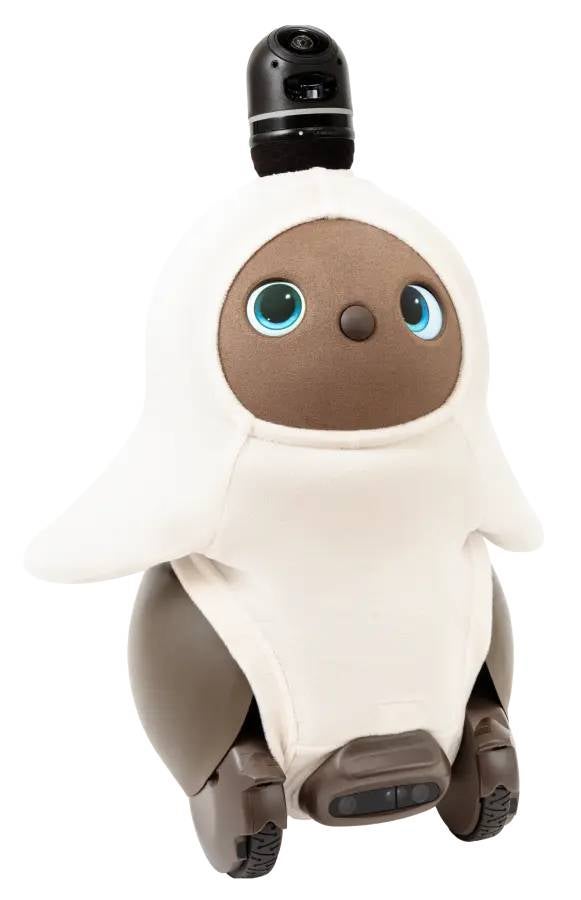 レンタル] LOVOT 2.0(らぼっと) ソロ ちゃ - Rentio[レンティオ]