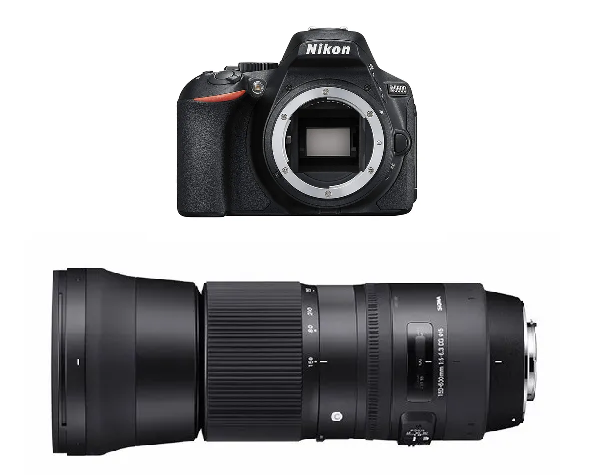 シリーズ最新⭐望遠レンズセット⭐バック付き！⭐Nikon D5600 ⭐ Nikon