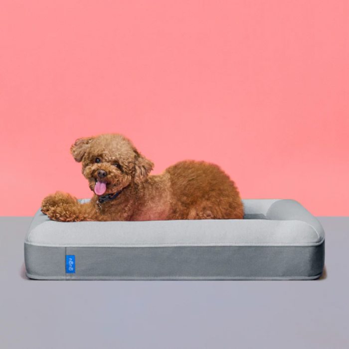 レンタル] gugu ドギー 犬用ベッド Sサイズ グレー - Rentio[レンティオ]