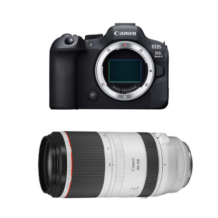 デジタル一眼レフカメラCanon EOS 5D mark II望遠レンズセット