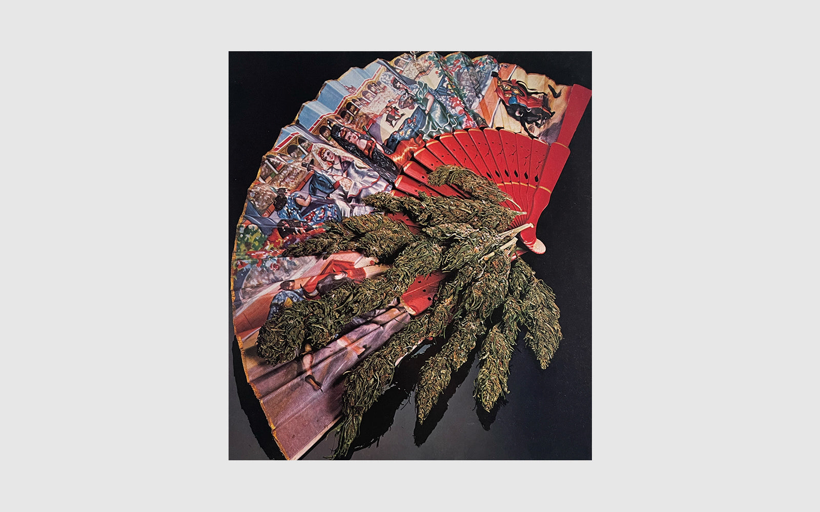 FAW [1980 HIGH TIMES Calendar - FAW Books]