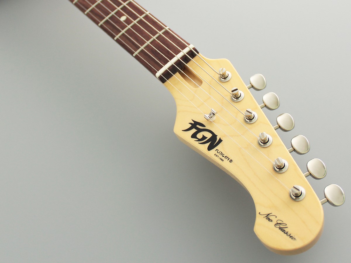 NST100RAL / FGN Guitars