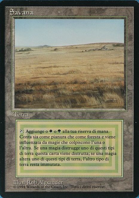 MTG Savannah サバンナ 3ED版 MTG Savannah サバンナ 3ED版 Savannah