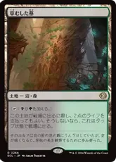 Foil】《草むした墓/Overgrown Tomb》[RAV] 土地R | 日本最大級 MTG