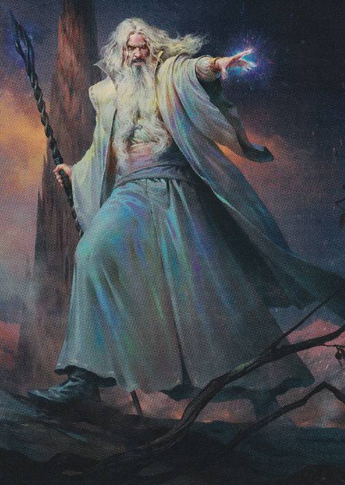 020)【アート・カード】多彩なるサルマン[LTR] | 日本最大級 MTG通販