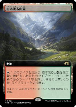 MTG 樹木茂る山麓 foil日本語 エクスペディション ゼンディカー ZNE