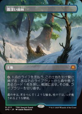 買取：《霧深い雨林/Misty Rainforest》[ZEN] 土地R | 日本最大級 MTG