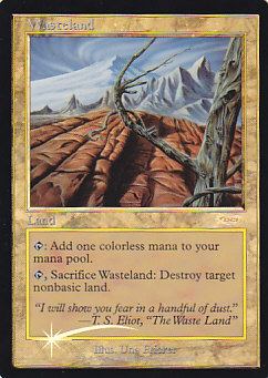 MTG 不毛の大地 英語 Foil EPX エクスペディション EX+]不毛の大地