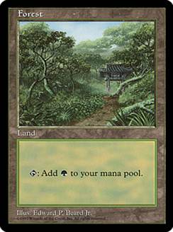 MTG ユーロランド 平地 森 沼 山 5種セット MTG ユーロランド 平地 森