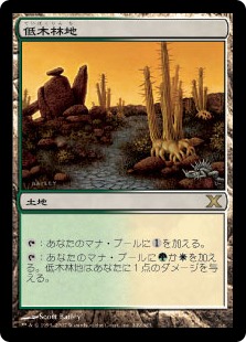 MTG 低木林地 7版 日本語 ホイル Foil マジックザギャザリング MTG