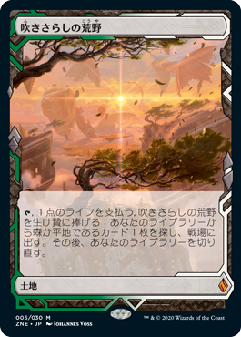 MTG 吹きさらしの荒野 ZNE 英語版 Foil Foil】(005)《吹きさらしの荒野