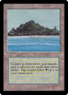 Tropical Island》[3ED] 土地R | 日本最大級 MTG通販サイト「晴れる屋」