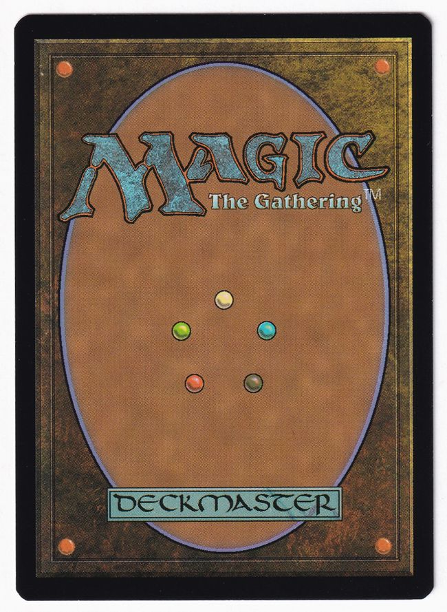 MTG 神聖なる泉 FOIL 英語版 ZEN EXP 1枚 EX+](FOIL)神聖なる泉