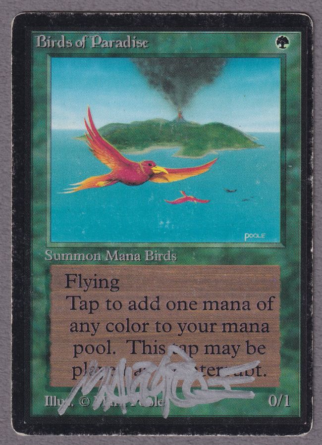 風冠の鳥、ケストラル レイズドfoil 日本語 風冠の鳥、ケストラル