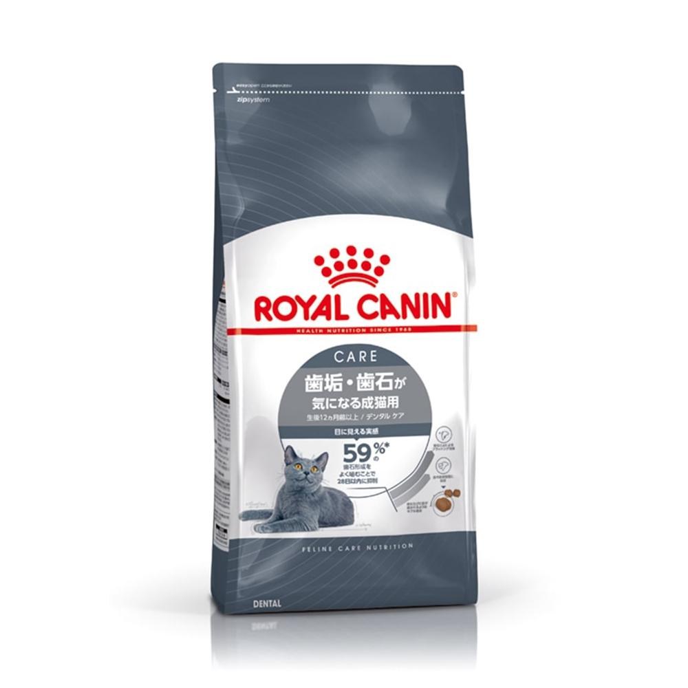 ロイヤルカナン FHN フィット 猫用 10kg 正規 品