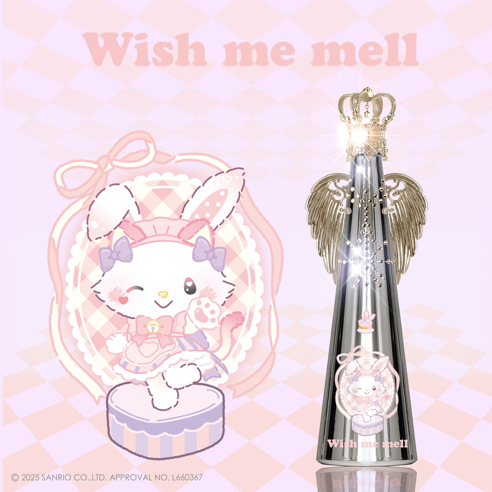 フィリコ fillico 720ml ショコラ シナモン 新品未開封 箱付き 新品未