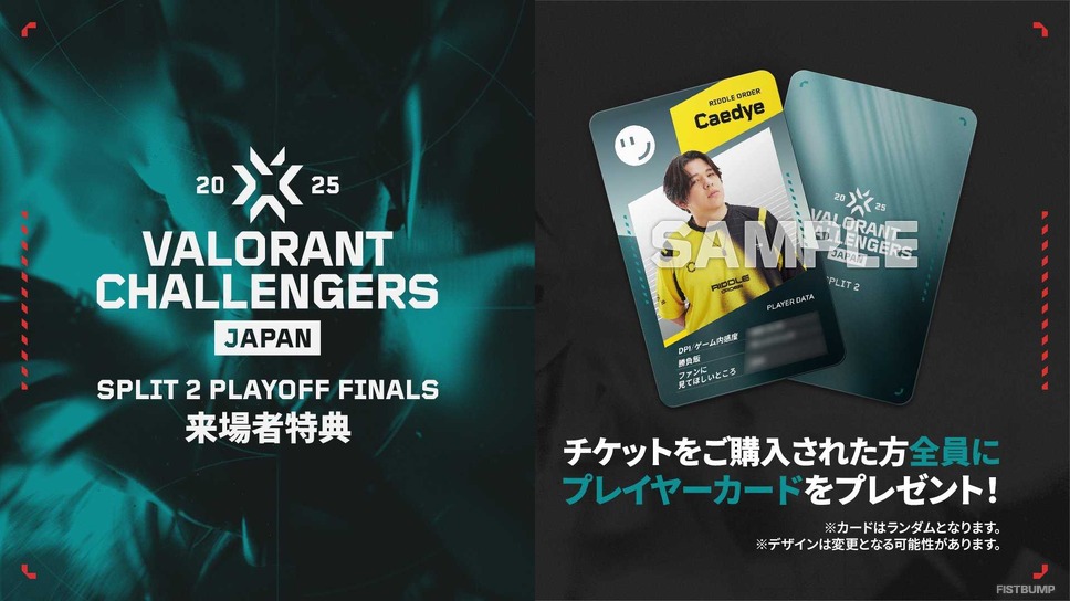 VCJ FENNEL プレイヤーカード VCJ プレイヤーカード FENNEL neth