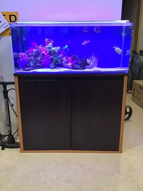 相談中 引取限定 90センチ水槽セット