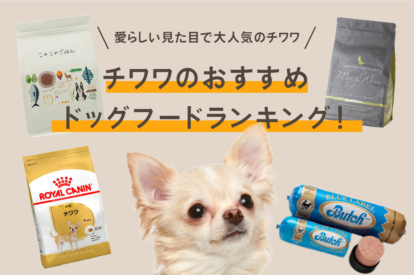 新品 MISHON ミシユワン 犬用ドライフード シニア 1kg✖2袋 新品