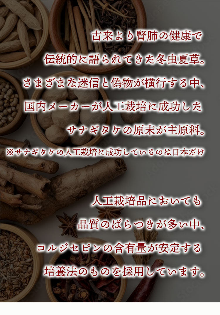 花神 - Kajin - 犬と猫の腎臓に配慮した乳酸菌&冬虫夏草サプリ