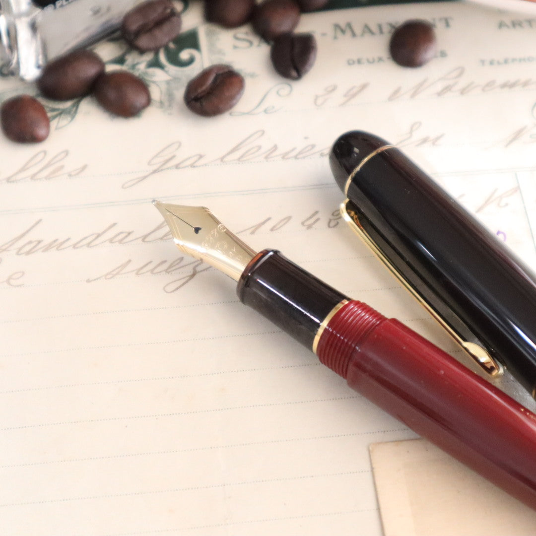 限定品】プラチナ万年筆 万年筆 #3776 センチュリー マイ