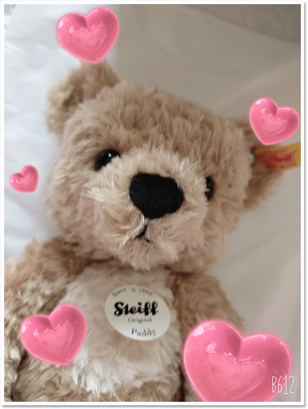 Steiff シュタイフ ハイデンベルグフラタニティ ステューデント テディベア