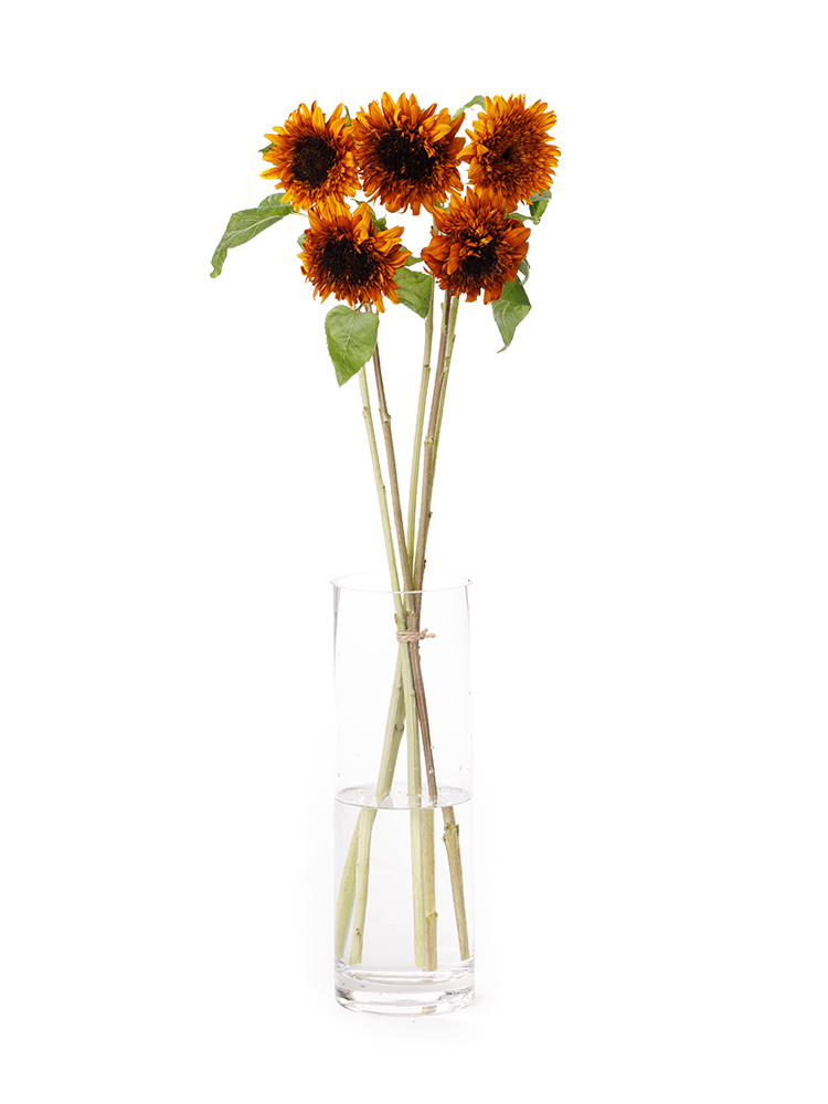 生花】ひまわり 東北八重【黄/60cm/愛知県】｜Flower Smith Market