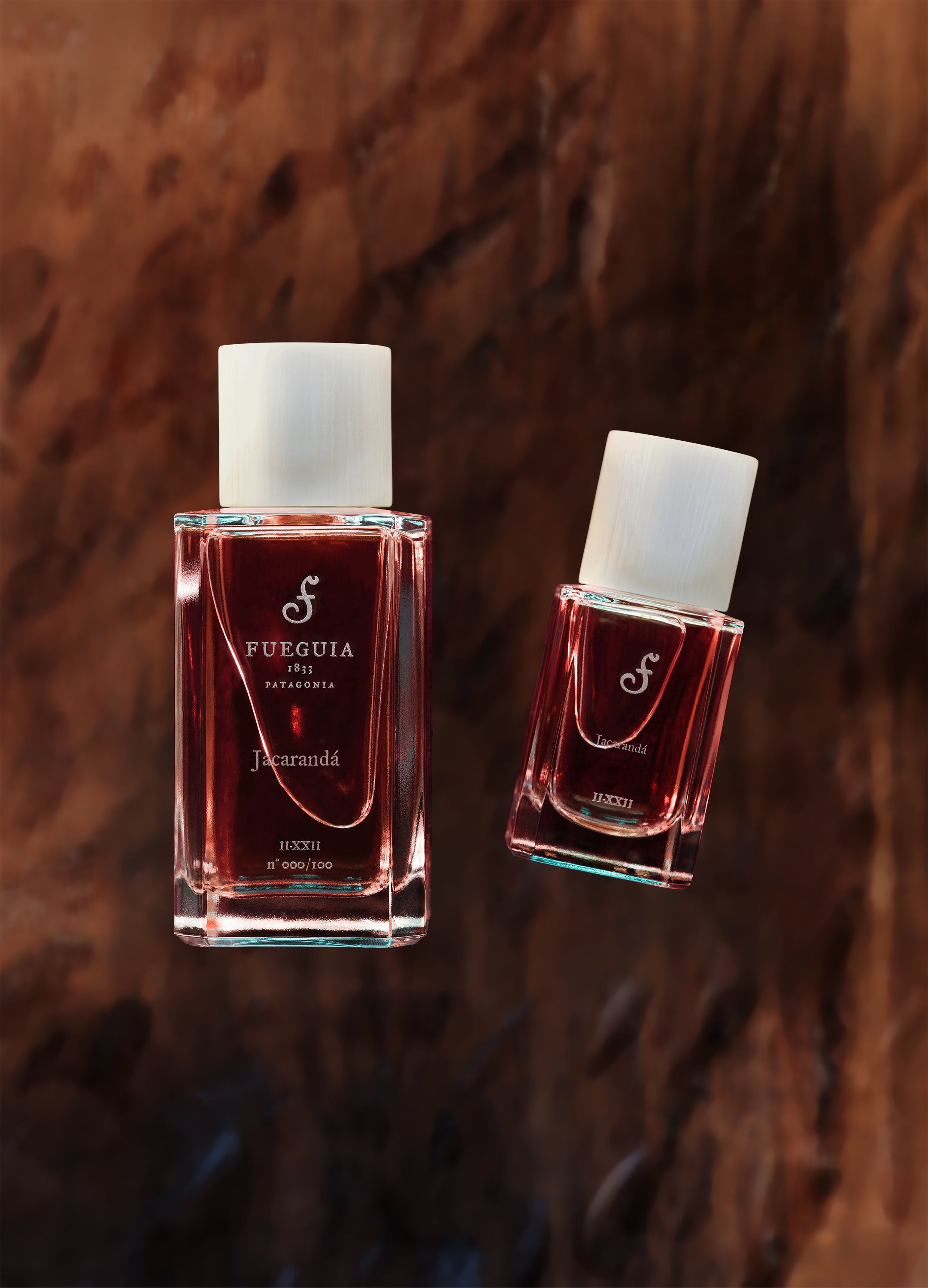 Jacarandá｜ハカランダ – FUEGUIA 1833 Japan Online