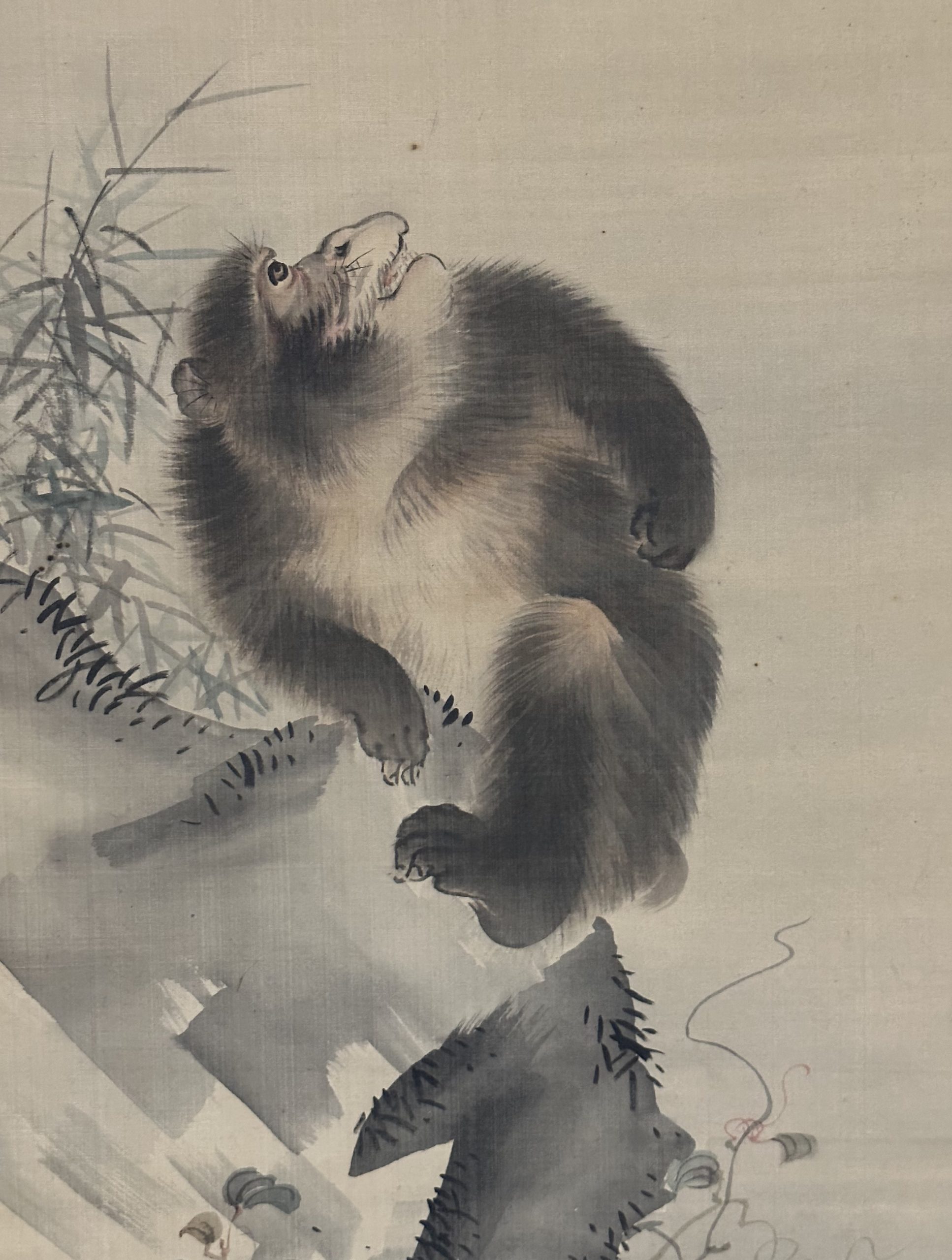 江戸時代中後期【森祖仙(狙仙)】絹本淡彩 桜に猿古美術a8