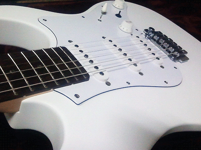 FUJIGEN EXPERT ELAN マットホワイト Fujigen Expert Elan ホワイト