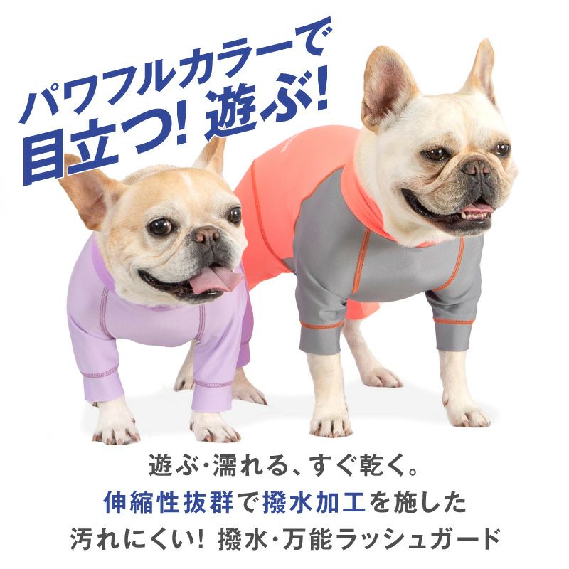 ○犬服○ハンドメイド 胴52 NO.496 フレブル 楽天市場】フレンチ