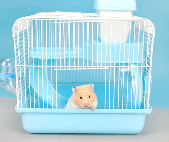 ハムスターケージ コンパクトハムスターハウス ハウス|ハムスター