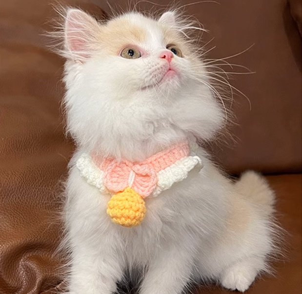 ペット用首輪 もこもこにゃんこのあったかマフラー かわいい|ペット用