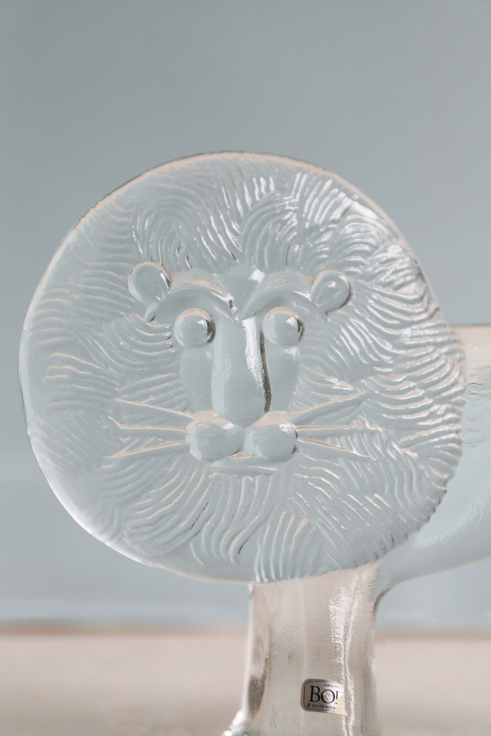 マレーシア 剥製ヴィンテージマレーオオニフシ 標本 マレーシア 剥製