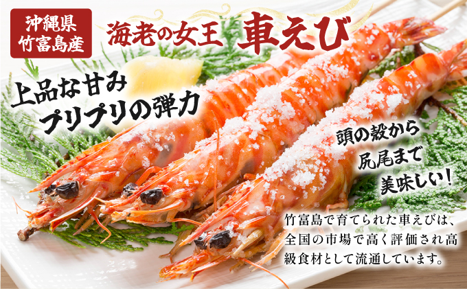 竹富島産 活車えび 500g:20~30尾 008-a007(活車えび 500g): 竹富町ANA