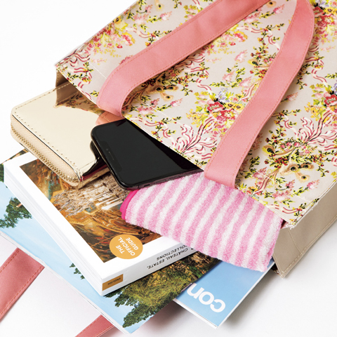 ヴェルサイユ宮殿監修! 初のアイテム付きブック マリー