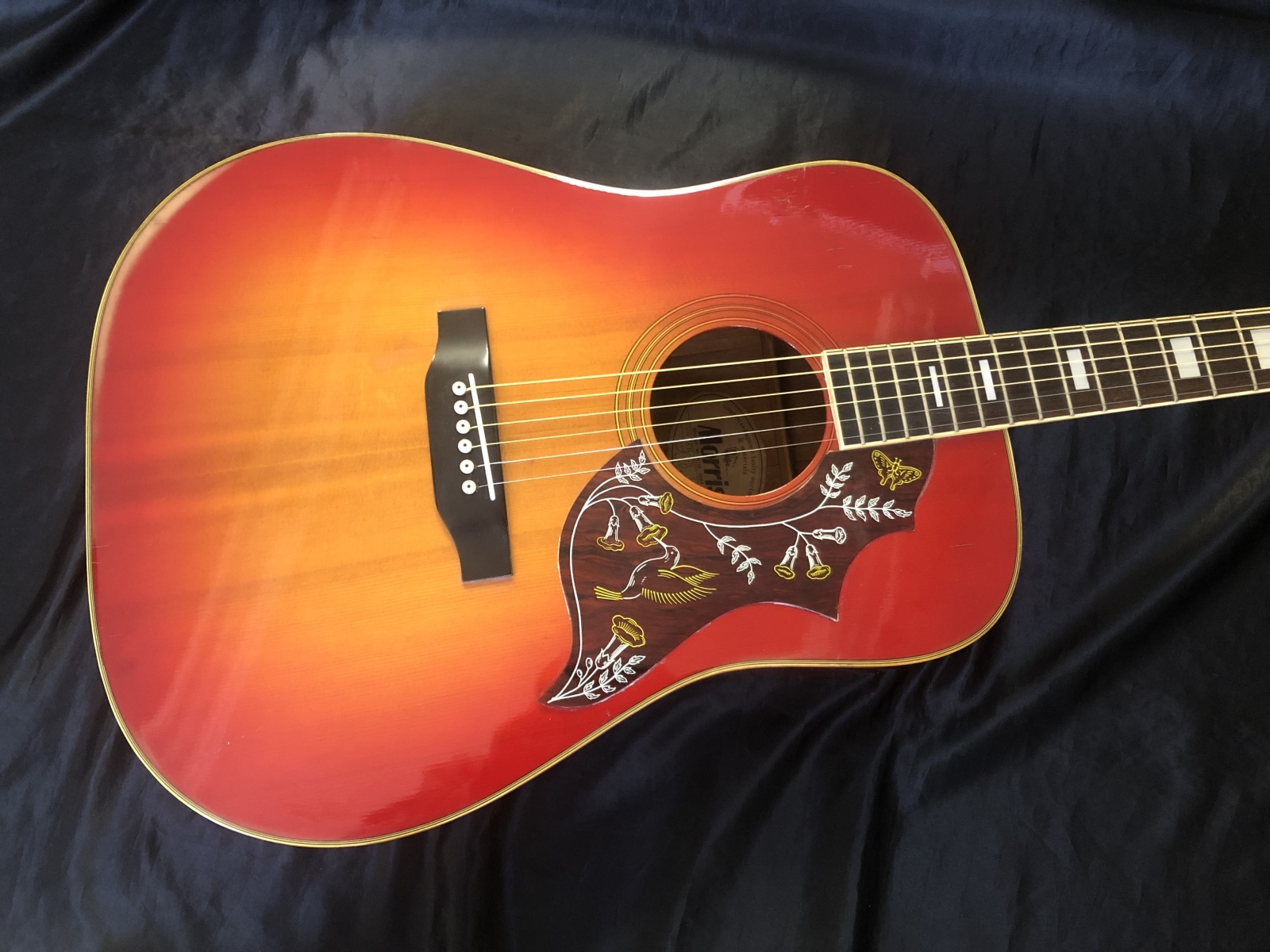 Morris モーリス WD-25N アコースティックギター ダヴモデル Morris